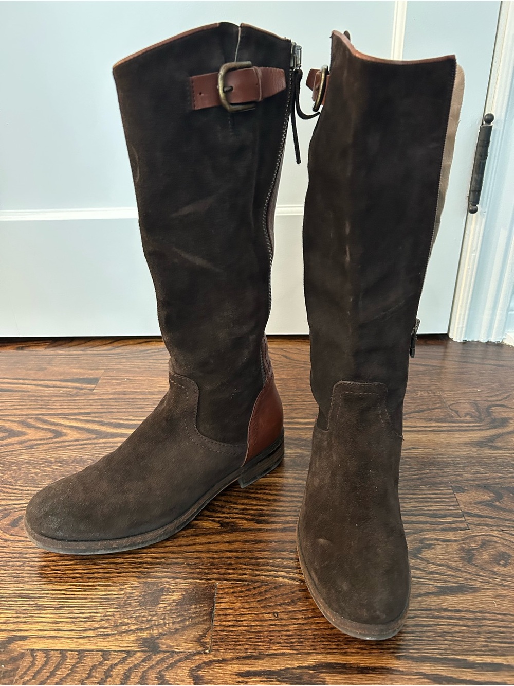 Alberto Fermani Dark Brown Suede Tall Riding Boots with Leather Trim